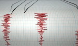 Polygraph test results