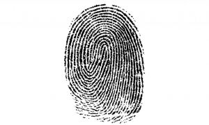 Automated Fingerprint Identification System afis